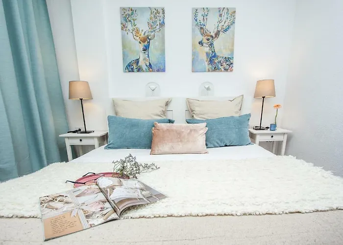 Spectacular Renovated Apartment, 5 Min To Camison Beach, With Aircon