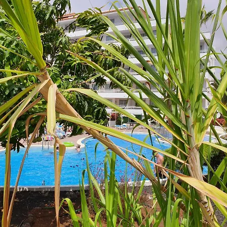 Appartement New! Spectacular 1 Bed In Americas, 5 Min To Camison And Hard Rock Cafe, With Aircon