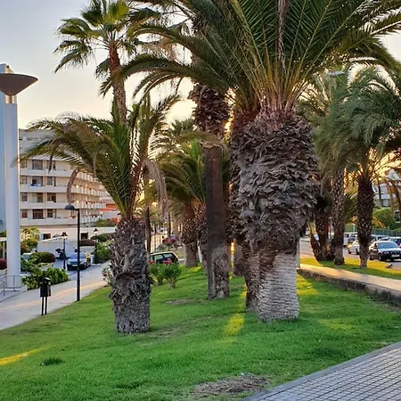 Appartement New! Spectacular 1 Bed In Americas, 5 Min To Camison And Hard Rock Cafe, With Aircon *