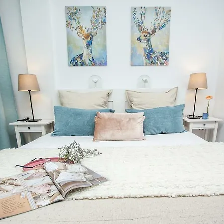 New! Spectacular 1 Bed In Americas, 5 Min To Camison And Hard Rock Cafe, With Aircon