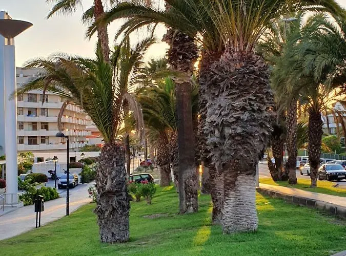 Apartmán Spectacular Renovated Apartment, 5 Min To Camison Beach, With Aircon *